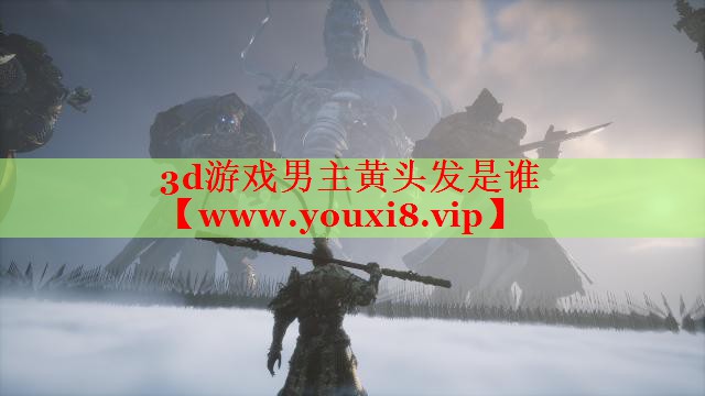 3d游戲男主黃頭發(fā)是誰