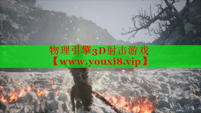 物理引擎3D射擊游戲