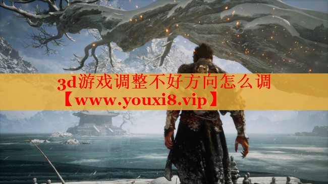 3d游戲調(diào)整不好方向怎么調(diào)