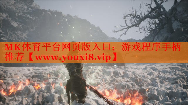 MK體育平臺網(wǎng)頁版入口：游戲程序手柄推薦