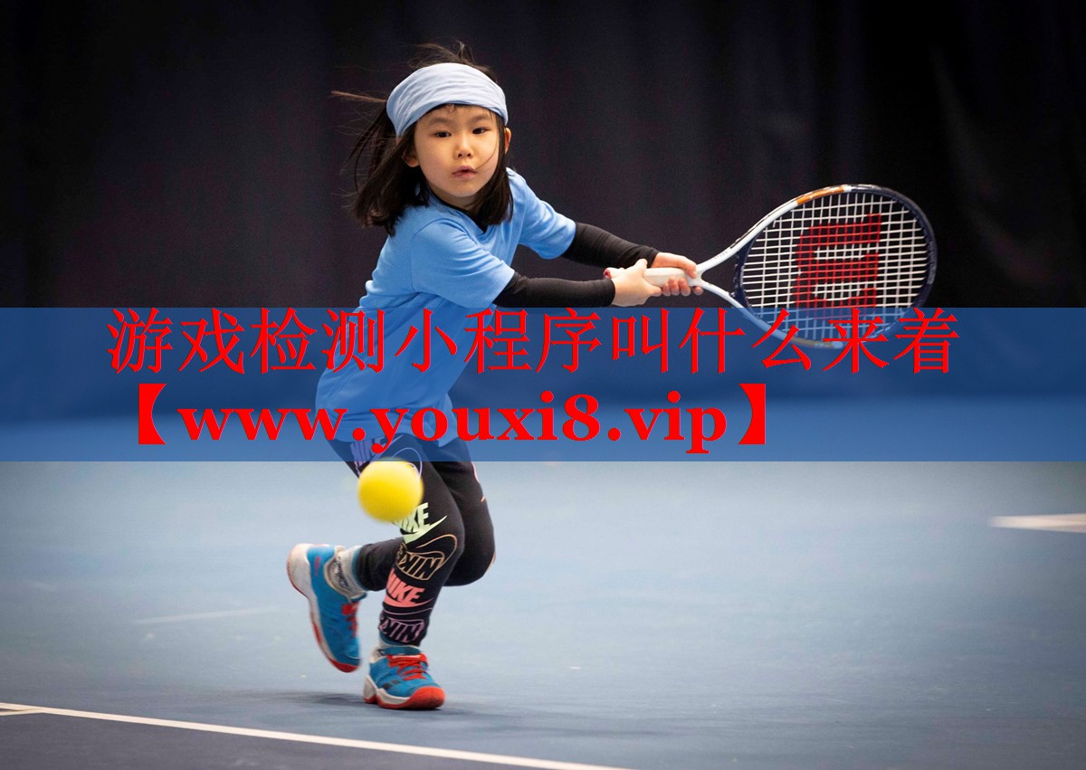 游戲檢測小程序叫什么來著