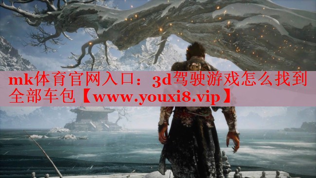 mk體育官網(wǎng)入口：3d駕駛游戲怎么找到全部車(chē)包