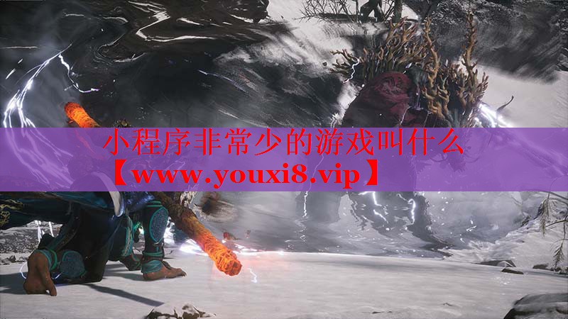 小程序非常少的游戲叫什么
