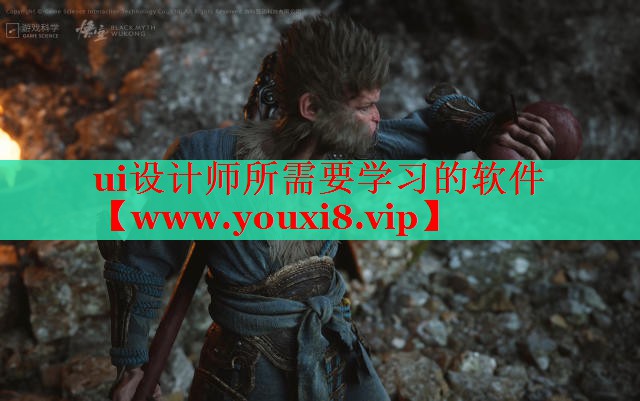 ui設(shè)計(jì)師所需要學(xué)習(xí)的軟件