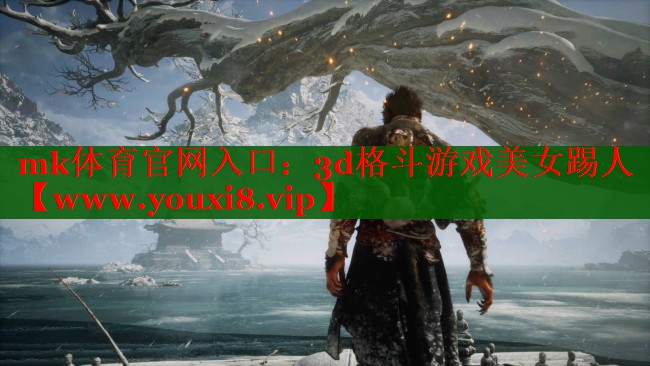 mk體育官網(wǎng)入口：3d格斗游戲美女踢人