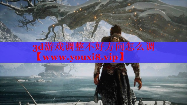 3d游戲調(diào)整不好方向怎么調(diào)