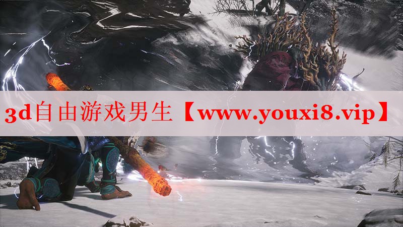 3d自由游戲男生