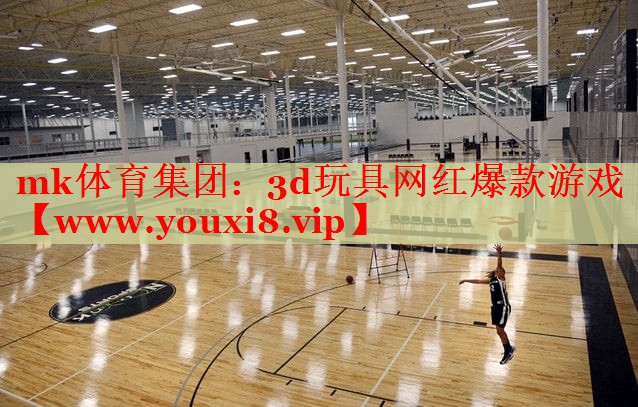 3d玩具網(wǎng)紅爆款游戲