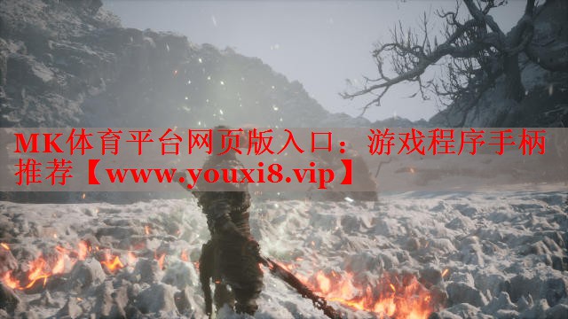 游戲程序手柄推薦
