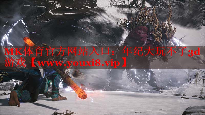 年紀(jì)大玩不了3d游戲