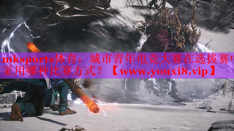 城市青年電競(jìng)大賽在選拔賽中采用哪種比賽方式？