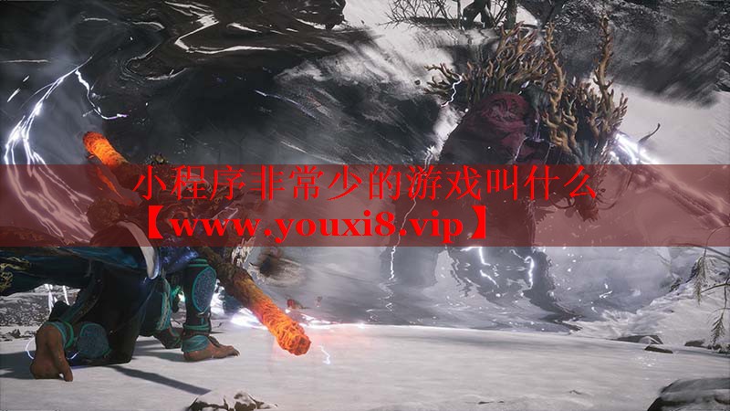 小程序非常少的游戲叫什么