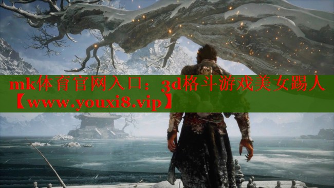 3d格斗游戲美女踢人
