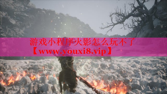 游戲小程序火影怎么玩不了
